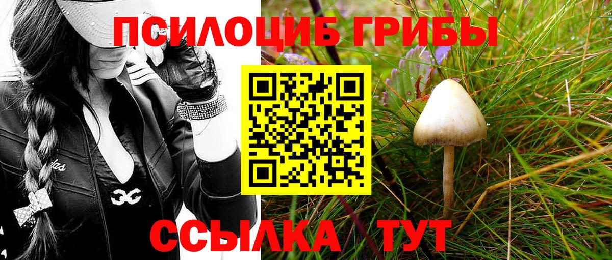 Галлюциногенные грибы мицелий  Галлюциногенные грибы Psilocybe  Вход с VPN  Кстово 